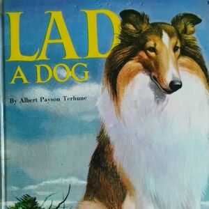 Vintage LAD A DOG 1957 EVC HARDCOVER TREASURE 📚